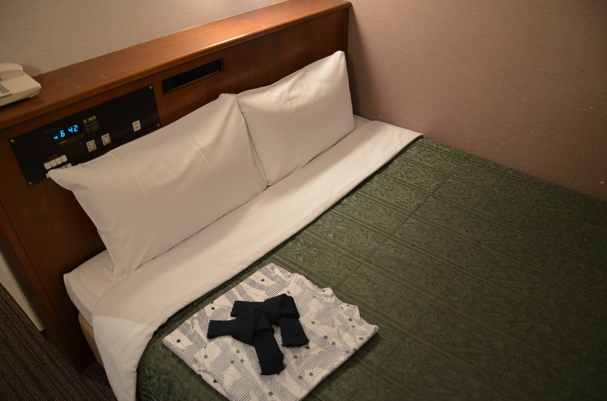 Hikone Biwako Hotel Esterno foto